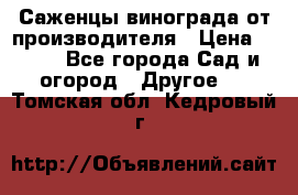 Саженцы винограда от производителя › Цена ­ 800 - Все города Сад и огород » Другое   . Томская обл.,Кедровый г.